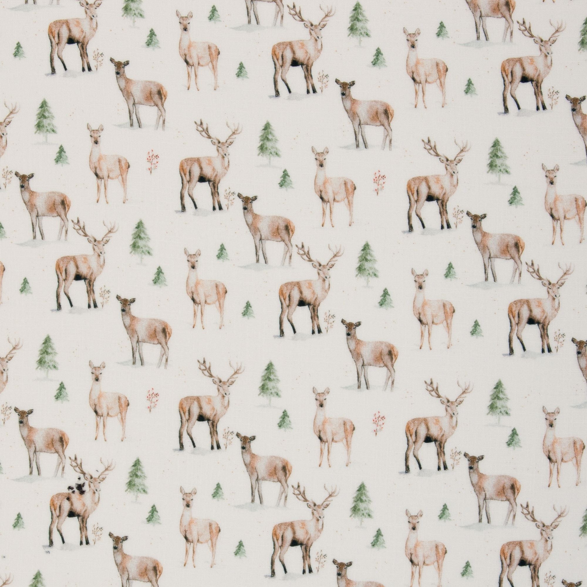 Double Gauze - Herten-  € 18/m