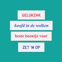 ABEL - Olijke mix hoofd - in de wolken