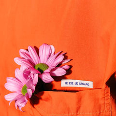 ABEL - Ik zie je graag