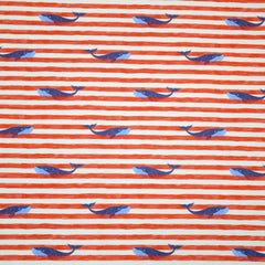 Jersey - Walvis - € 28/m
